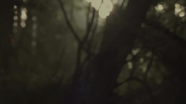 Strážci Galaxie Vol. 2: Teaser 2