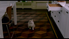 Já, kocour: ukázka - Můj kocour je alkoholik