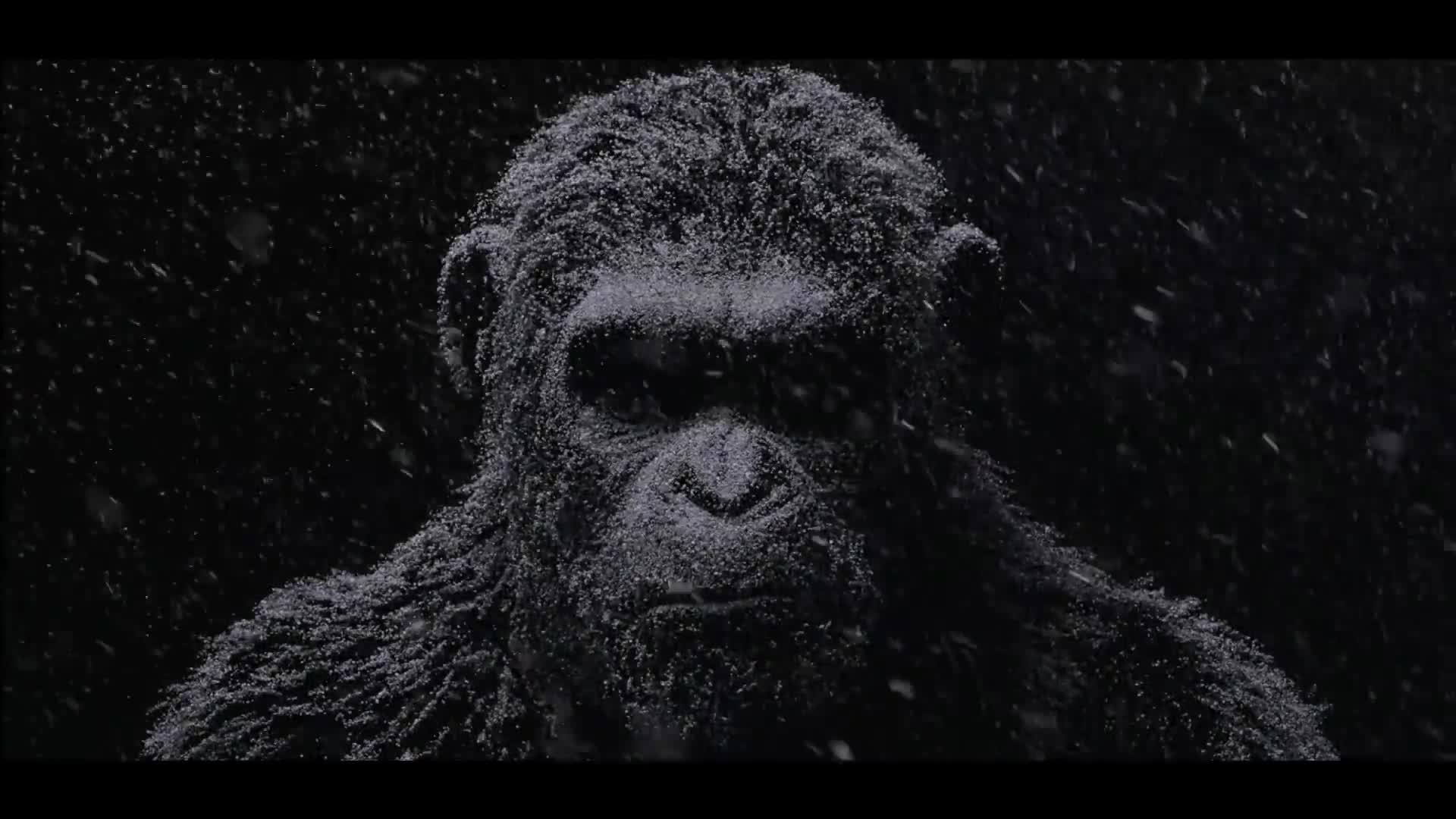Válka o planetu opic: Teaser