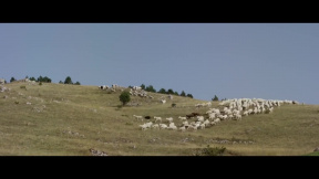 Stát pevně: Trailer