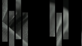 The Assignment: Trailer