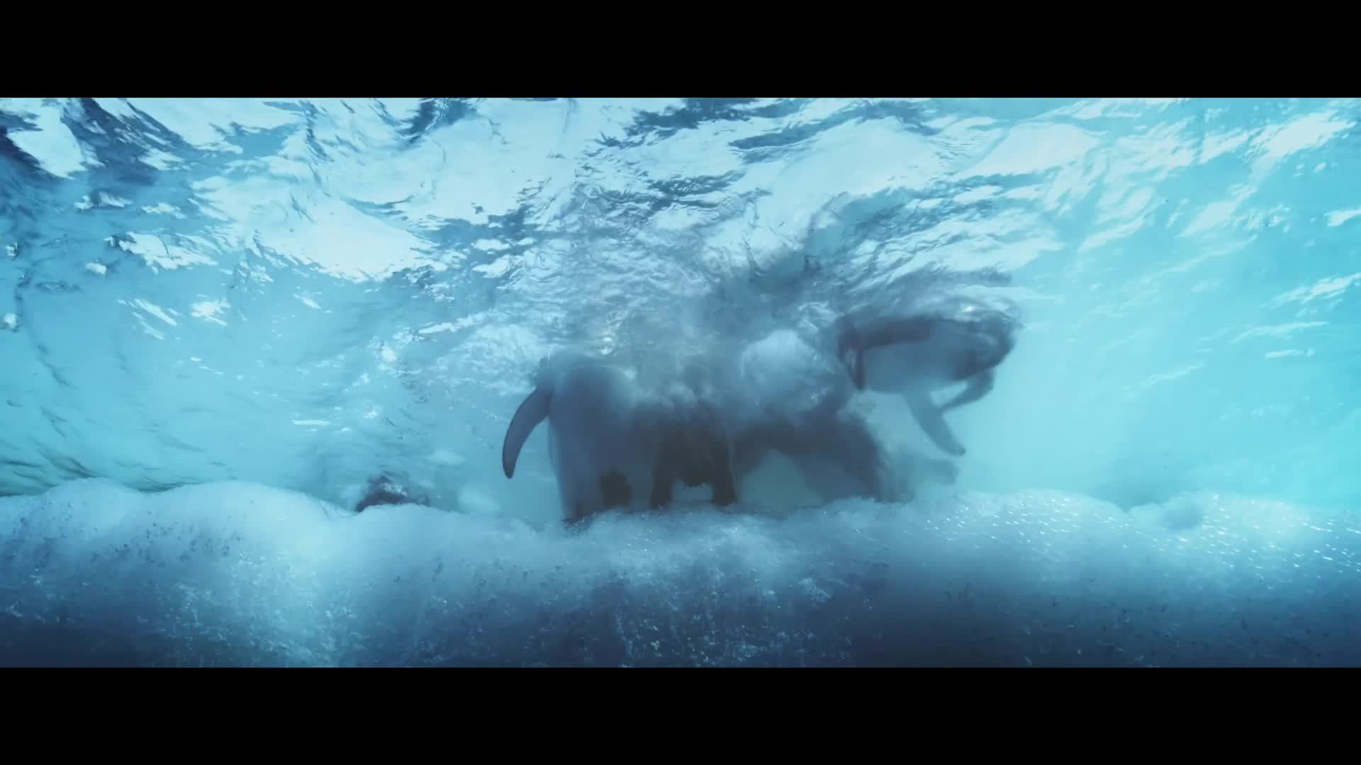 Putování tučňáků: Volání oceánu: Trailer