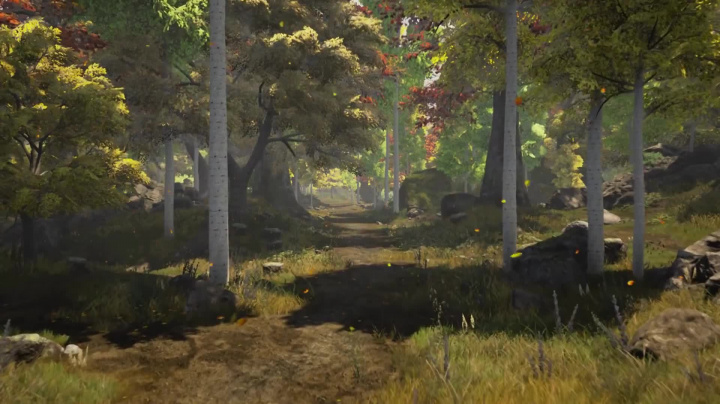 Ashes of Creation - Seasons First Look