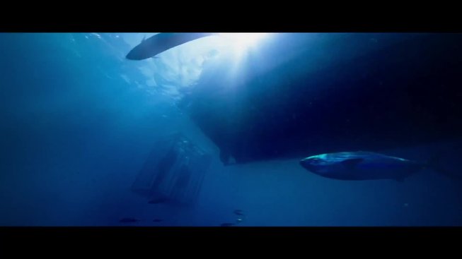 47 Meters Down: Trailer 2