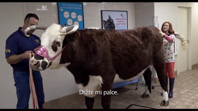 Ladíme 3: Trailer