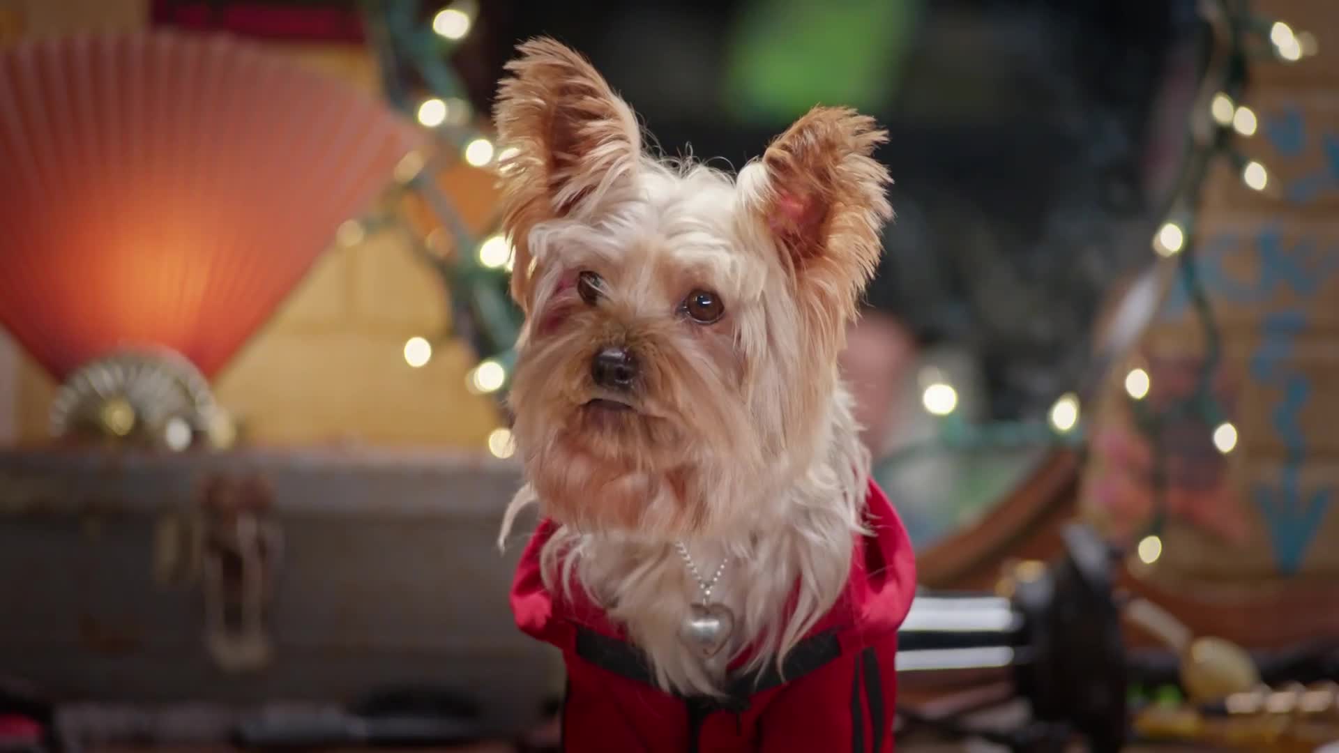 Pup Star: Better 2Gether: Trailer