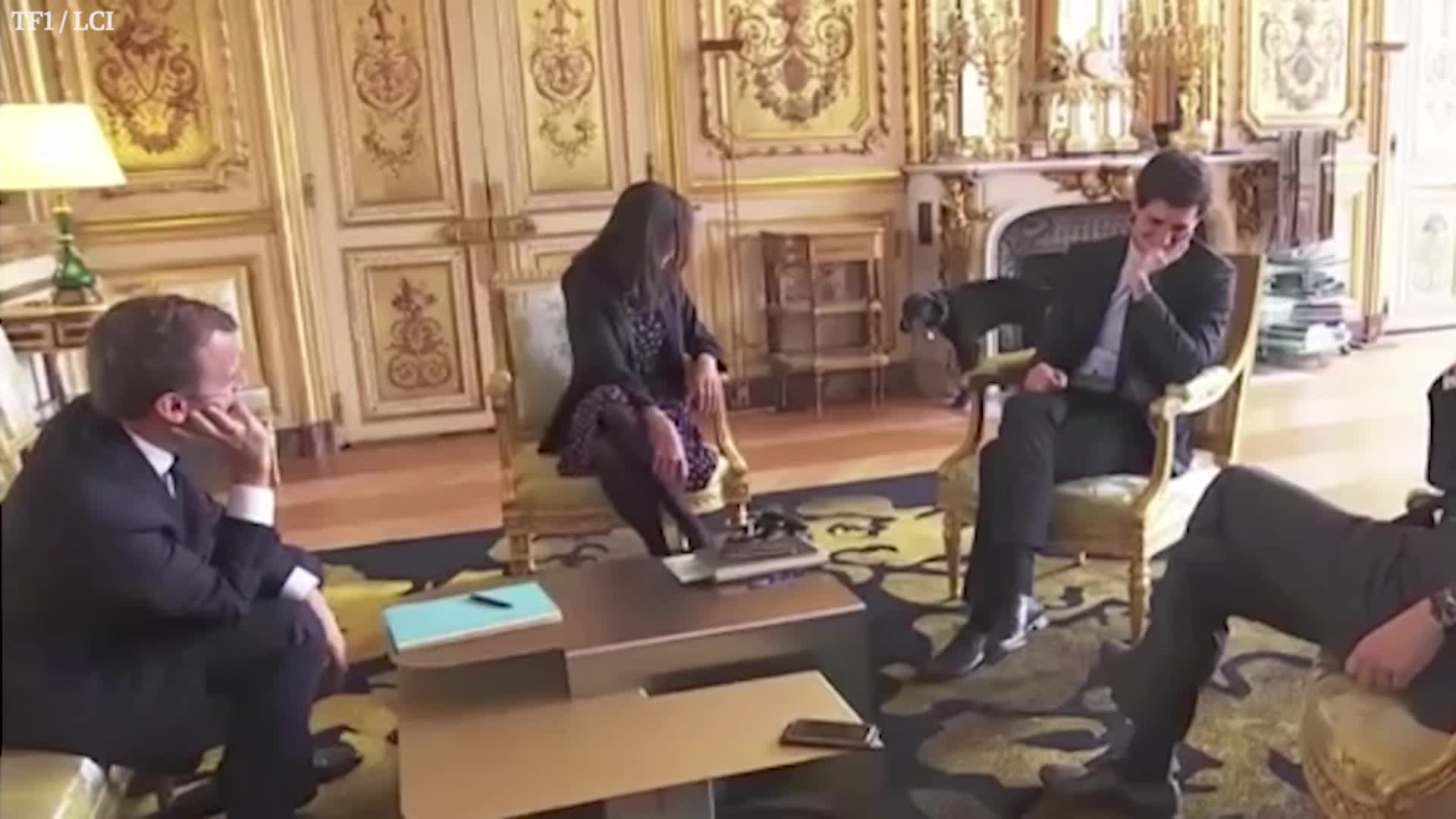 Macronův pes si ulevil přímo v Elysejském paláci