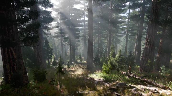 Far Cry 5 - Tvorba Montany