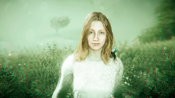 Far Cry 5 - Faith Seed
