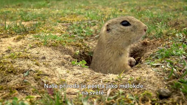 Planeta Česko: TV Spot 2