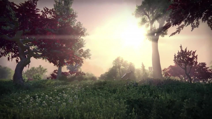 The Elder Scrolls Online: Summerset – Gameplay Announce Trailer
