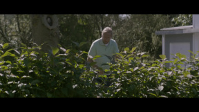 Pod jedním stromem: Trailer