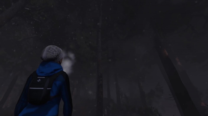 Through the Woods - Official Xbox One and PS4 Launch Trailer