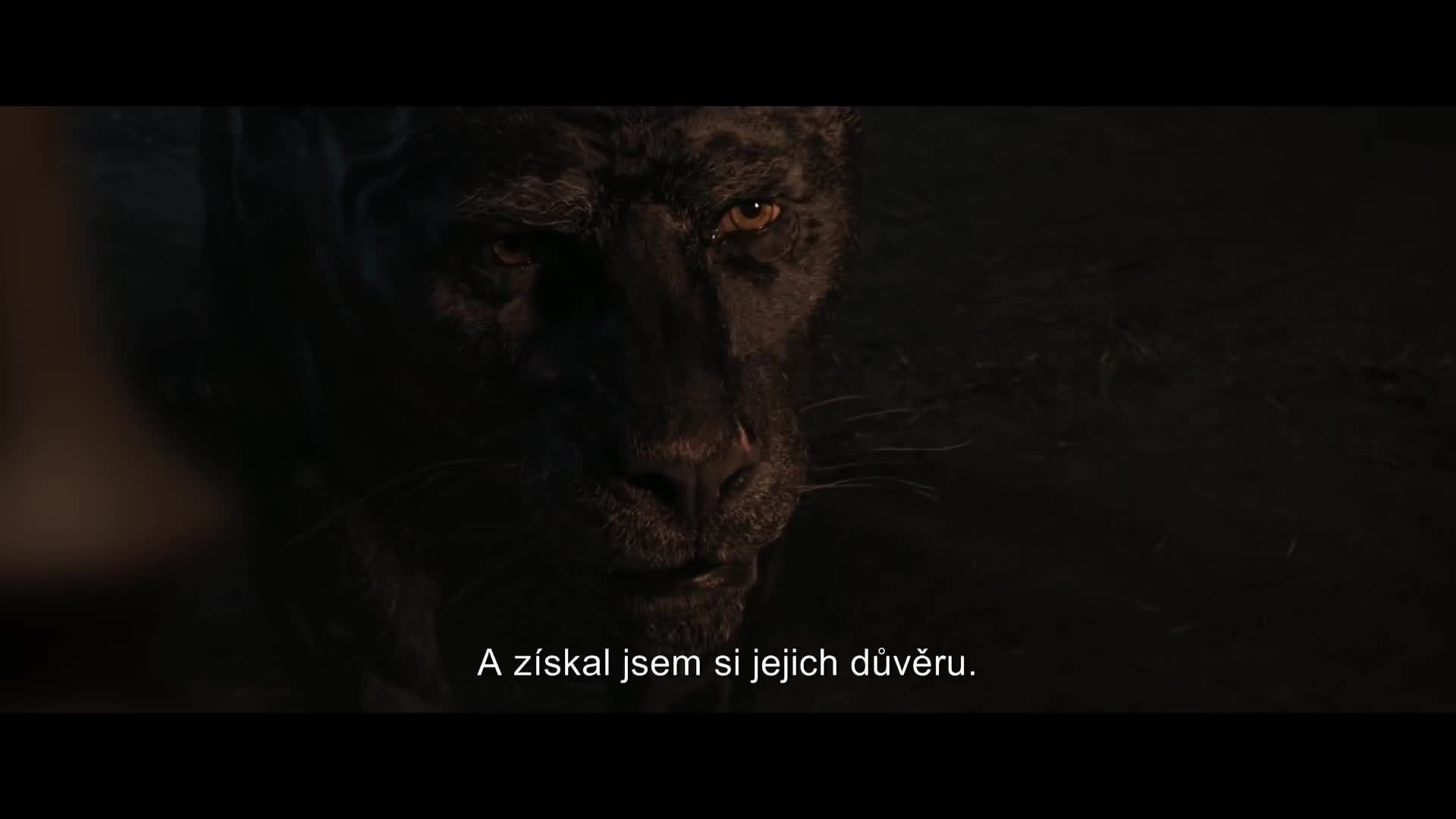 Mauglí (2018): Trailer