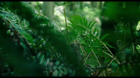 Beze stop (2018): Trailer 2