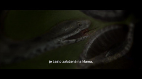Caravaggio - duše a krev: Trailer