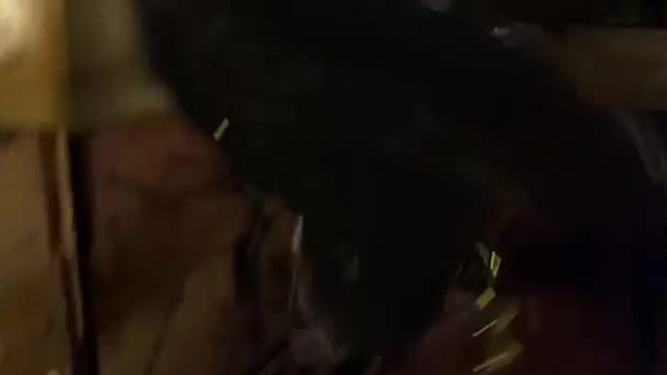 Blade 2 - trailer