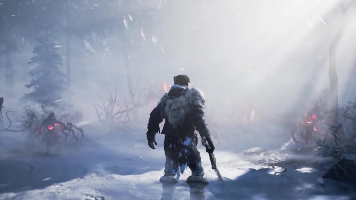 Fade to Silence - Zima na Zemi