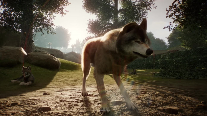 Planet Zoo - E3 In-Game Trailer