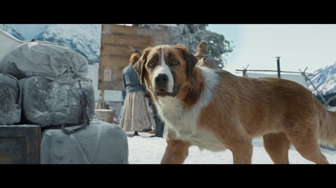 Volání divočiny (2020): oficiální trailer (český dabing)