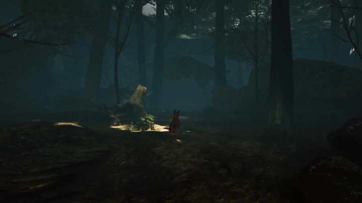 Blair Witch: Oculus Quest Edition - Oznámení