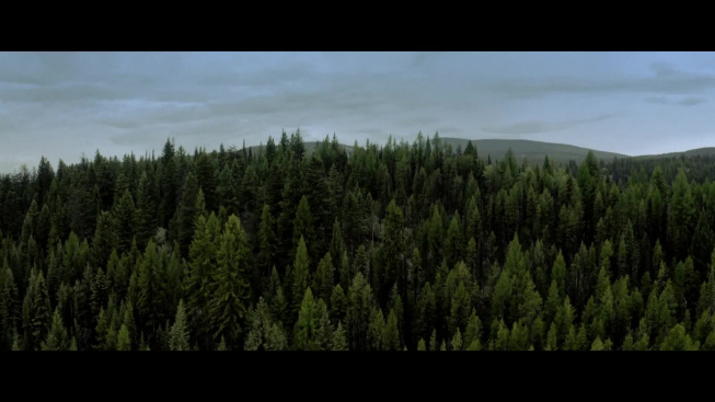 The Color Rose - trailer