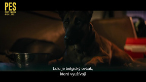Pes (2022) - Jak se točí se psem (české titulky)