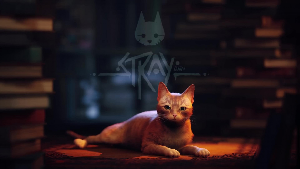 Kočičí kyberpunk Stray vychází příští měsíc, rovnou v knihovně PS Plus Extra