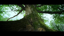 Srdce dubu - HD Trailer CZ