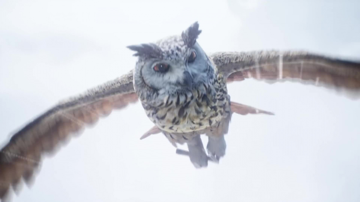 Sledujte nový filmový trailer na Hogwarts Legacy