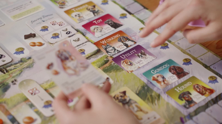 Psí Park - Rozšíření New Tricks