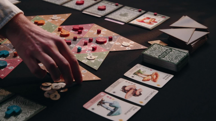 Mycelia – Představení hry