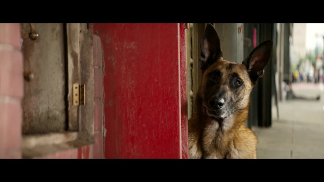 DogMan (2023) - trailer (české titulky)