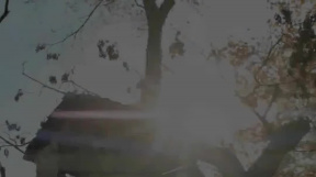 Beetlejuice Beetlejuice (2024) - oficiální trailer 2 (české znění)