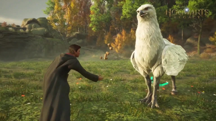 Hogwarts Legacy - Nintendo Switch 2