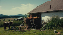 Raději zešílet v divočině - teaser
