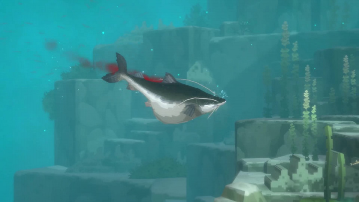 Dave the Diver – In the Jungle