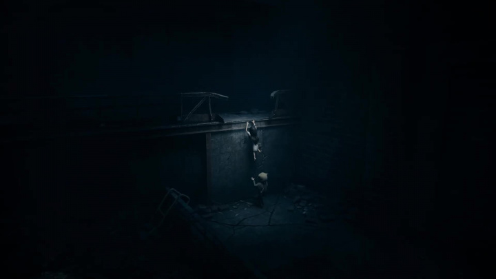 Reanimal – Datum vydání